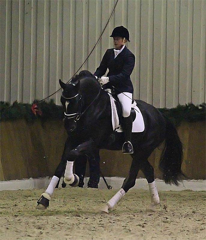 HW Farm proudly presents some information about Stallion Dragon Hill